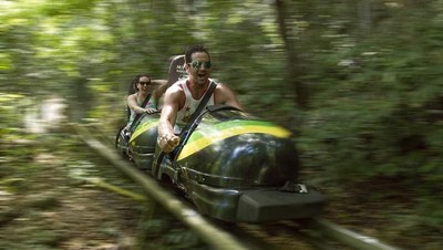 Foto: Main Kereta Luncur Salju, Tapi di Hutan Jamaika