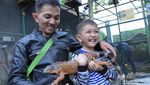 Foto: Ide Libur Akhir Pekan, Kebun Binatang Mini di Lembang