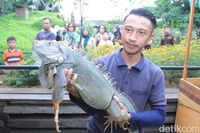 (Wisma Putra/detikTravel)