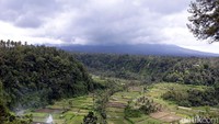 Saat ini Gunung Agung masih berstatus awas di level 4. Namun aktivitas Gunung Agung cenderung menurun.