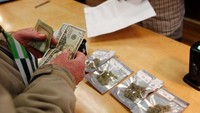 Pasar ganja di negara California yang merupakan kawasan dengan perekonomian terbesar keenam di dunia tersebut diperkirakan bernilai beberapa miliar dolar setahun dan diperkirakan akan menyumbangkan pajak senilai US$ 1 miliar. (Foto: Australia Plus ABC)
