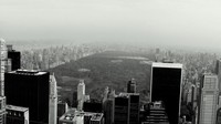 Disebut sebagai taman kota yang paling banyak dikunjungi di AS (Foto: Dok. jackwayne via centralpark.com)