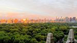 Foto: Ini Perbandingan Kondisi Central Park dan Monas