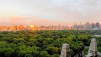 Central Park terdiri dari taman raksasa, jalan setapak, danau buatan, area ice skating, hingga taman bermain. (Foto: Dok. centralpark.com)