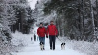 Warga dan peliharaannya menikmati jalanan bersalju di dekat Inverness, Skotlandia, Inggris Raya. (Foto: Dok. Rex Features)