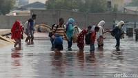 Sejumlah warga nekat menerjang banjir rob di kawasan Pelabuhan Kali Adem, Jakarta Utara, Rabu (3/1/2017).