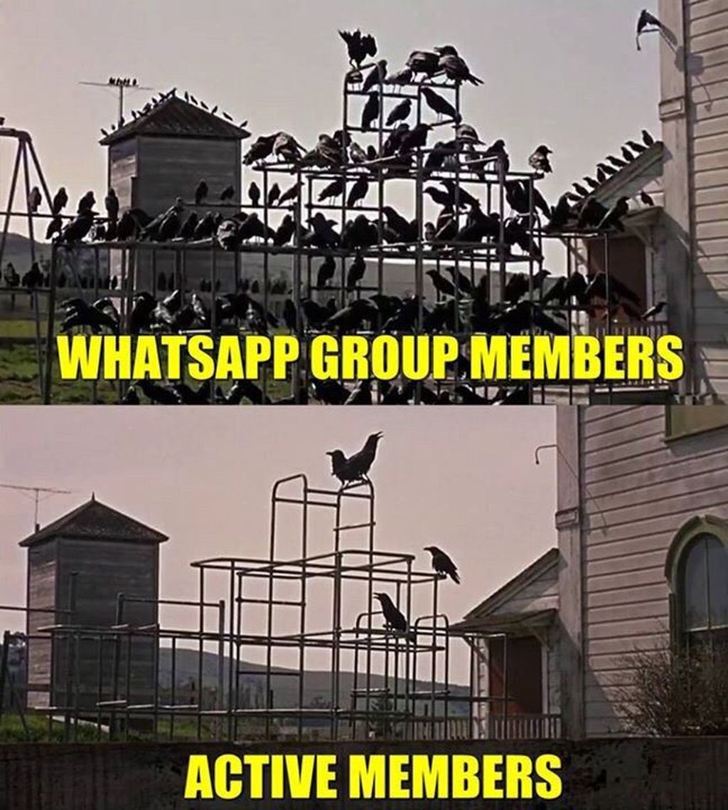 Meme Kocak Serba Serbi Grup Whatsapp