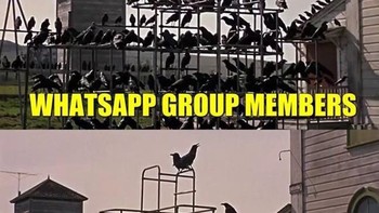 Meski banyak anggotanya, grup WhatsApp seringkali hanya didominasi user tertentu yang paling berisik. Foto: istimewa