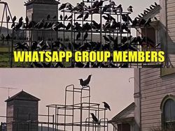 Meme Kocak Serba Serbi Grup WhatsApp