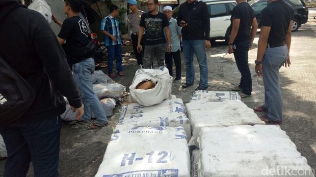 Polres Jakarta Barat Ungkap 1,3 Ton Ganja Asal Aceh