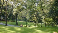Centrak Park juga menjadi tujuan para peneliti. (Foto: Dok. centralpark.com)