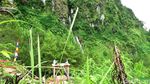 Foto: Kamu yang Jomblo, Coba Wisata ke Curug Ini