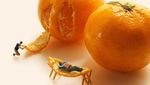 Keren! Seniman Ini Bikin Miniatur Tiap Hari dengan Objek Pisang hingga Jeruk