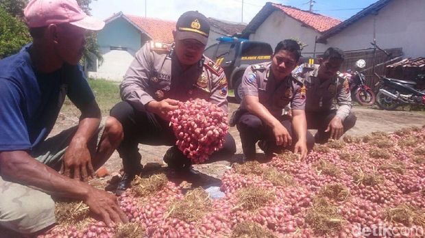 Polisi di Brebes borong bawang merah Petani