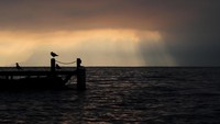Potret matahari terbit di danau Leman, Lausanne.