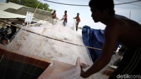 Perpanjangan pertama ditetapkan hingga Desember 2016 melalui Surat Edaran Nomor 72/MEN-KP/II/2016, tentang Pembatasan Penggunaan Alat Penangkapan Ikan Cantrang di WPPNRI. Perpanjangan dilakukan karena pemerintah belum menuntaskan penggantian alat cantrang ke nelayan. Perpanjangan kembali dilakukan hingga Juni 2017. Kali ini melalui Surat Edaran Dirjen Perikanan Tangkap No. B.664/DJPT/PI.220/VI/2017, yang mengatur pendampingan penggantian alat penangkapan Ikan memicu beragam tafsir, termasuk penundaan larangan penggunaan cantrang.