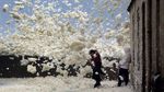 Busa Mendadak Muncul dari Laut Prancis, Ada Apa?