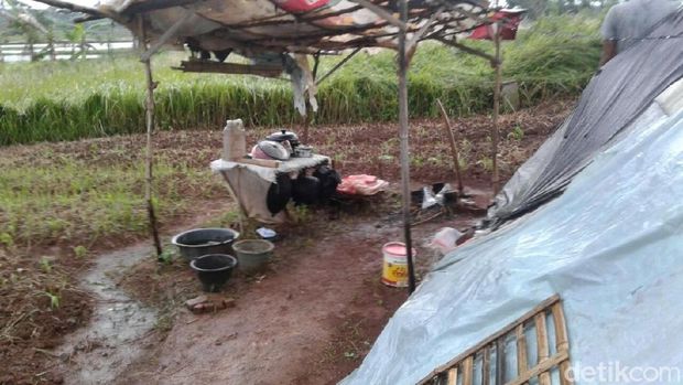 Pakai Semar Mesem, di Gubuk Ini Babeh Sodomi 25 Anak di Tangerang