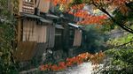 Cantiknya Kyoto yang Dicontoh untuk Kawasan Tanah Abang