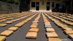Penampakan Ganja 1,3 Ton Asal Aceh di Polres Jakbar