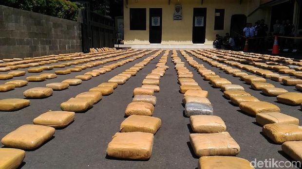 Penampakan 1,3 ton ganja asal Aceh yang digagalkan petugas
