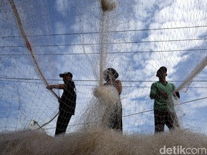 Sandi Mau Izinkan Cantrang, TKN: Janji Manis Tanpa Pertimbangan