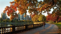 Stanley Park, Kanada. Stanley Park merupakan taman yang hampir sepenuhnya dikelilingi oleh air. Menjadi bagian populer untuk jogging, jalan-jalan, juga bersepeda. Selain itu, inilah taman ketiga terbesar di Amerika Utara sebesar 4 kilometer persegi. Lokasiny ada di Vancouver, British Columbia, Kanada (Dok. Thinkstock)