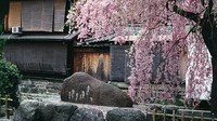 Keindahan pemandangan alam dan bangunan di Kyoto.