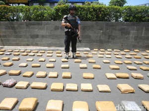 Ungkap 1,3 Ton Ganja, Kapolda Metro: Ini Penangkapan Paling Besar