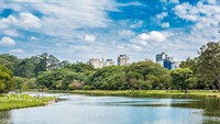 Ibirapuera Park, Brasil. Arsitek arsitek ternama Brasil, Oscar Niemeyer-lah pencipta Taman Ibirapuera yang dibuka pada 1954. Di dalamnya ada planetarium mirip piring terbang dan Auditorium Ibirapuera dengan struktur merah di pintu masuk. Pada hari Minggu, di dekat kolam bebek, pengunjung dapat berjemur sambil membaca buku atau majalah milik perpustakaan Bosque da Leitura (Dok. Thinkstock)