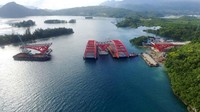 Pembangunan Jembatan Holtekamp bisa selesai lebih cepat dari target yaitu September 2018. Direktur Utama PT PP, Tumiyana menyakini, Juni 2018 pembangunan akan rampung. Pool/PUPR.