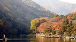 Cantiknya Kyoto yang Dicontoh untuk Kawasan Tanah Abang