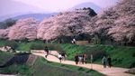 Cantiknya Kyoto yang Dicontoh untuk Kawasan Tanah Abang