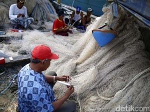 Cantrang Dilarang, Perusahaan Surimi RI Mau Pindah ke Luar Negeri