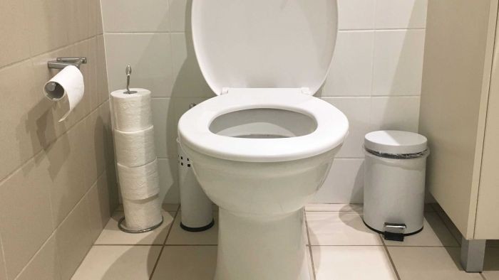 Pria Australia Lebih Sering Gunakan Ponsel di Toilet
