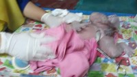 Bayi Sriyati lahir dengan selamat dan sehat. Bayi berjenis kelamin laki-laki itu saat ini dirawat di RS Islam Pondok Kopi. (Foto: Dok. Istimewa)