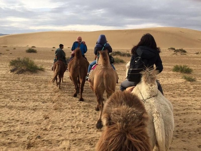 Naik unta di Mongolia
