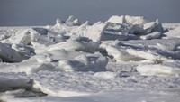 Penampakan lautan yang membeku di Cape Cod Bay, Orleans, Massachusetts. Scott Eisen/Getty Images.
