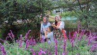 Obyek wisata yang dibangun di lahan sekitar dua hektar ini memiliki sekitar 200 spot foto menarik dan menjadi daya tarik wisatawan. Setiap sudut bangunan di Farmhouse Susu Lembang ini dapat dijadikan obyek foto (Wisma Putra/detikTravel)