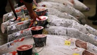 Salah satu pedagang ikan mengecek kualitas dari tuna-tuna sebelum proses lelang dimulai. (Foto: Reuters/Toru Hanai)