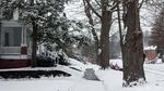 Merasakan Hidup Pada Suhu -20 Derajat Celcius di AS