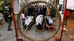 Foto: Pasar Ikan Tsukiji yang Ingin Ditiru Sandiaga