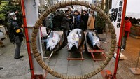 Pengunjung melihat pelelangan tuna segar.Foto: Reuters/Toru Hanai