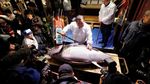 Foto: Pasar Ikan Tsukiji yang Ingin Ditiru Sandiaga