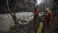 Tim penyelamat dengan seekor anjing di tepi Sungai Breda, Prancis, mencari petugas pemadam kebakaran sukarela yang telah dilaporkan jatuh ke dalam air. Foto: AFP
