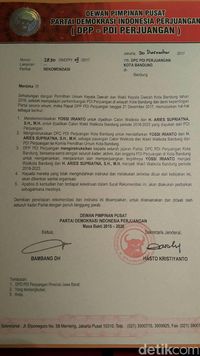 PDIP Pastikan Usung Yossi-Aries di Pilwalkot Bandung