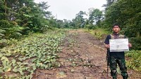 Bukan mudah menyelesaikan pembangunan yang ada, pasalnya medan yang dilalui harus menembus hutan, rawa, sungai, hingga gunung agar jalan bisa terbuka. (Dok Bina Marga).