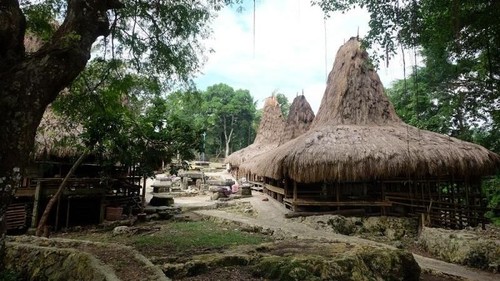 Kampung Prai Ijing di Sumba