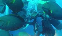 (Whale Submarine)