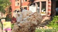 Saat berkunjung ke Boston, Nabila pun tak melewatkan es krim di gerai Emack and Bollos Ice Cream. Nyam!
